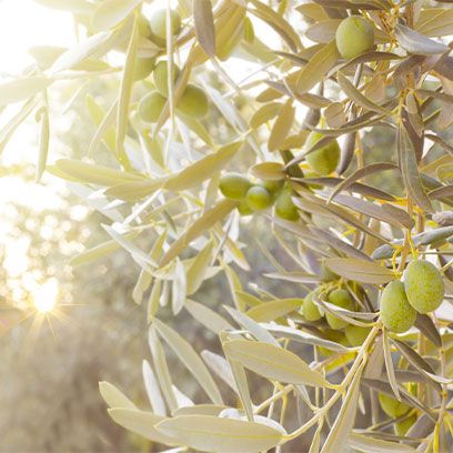 Εικόνα για την κατηγορία Οι αξίες δεν χάνονται!